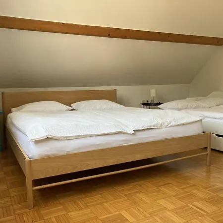 Cozy House Close To Center